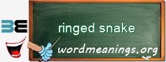 WordMeaning blackboard for ringed snake